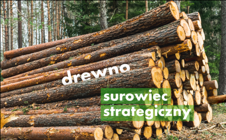 drewno surowiec strategiczny